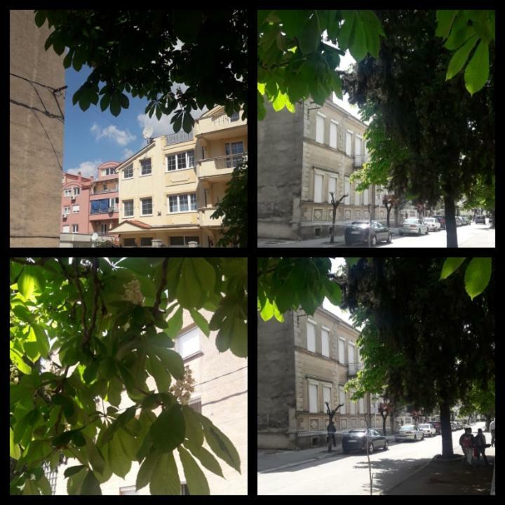 Apartment Voortex Trebinje Zewnętrze zdjęcie